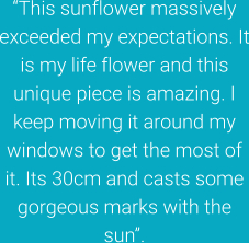 “This sunflower massively exceeded my expectations. It is my life flower and this unique piece is amazing. I keep moving it around my windows to get the most of it. Its 30cm and casts some gorgeous marks with the sun”.